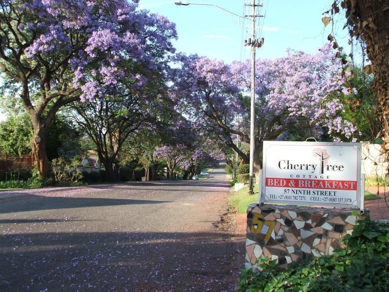 Cherry Tree Cottage B&B Linden Johannesburg Esterno foto