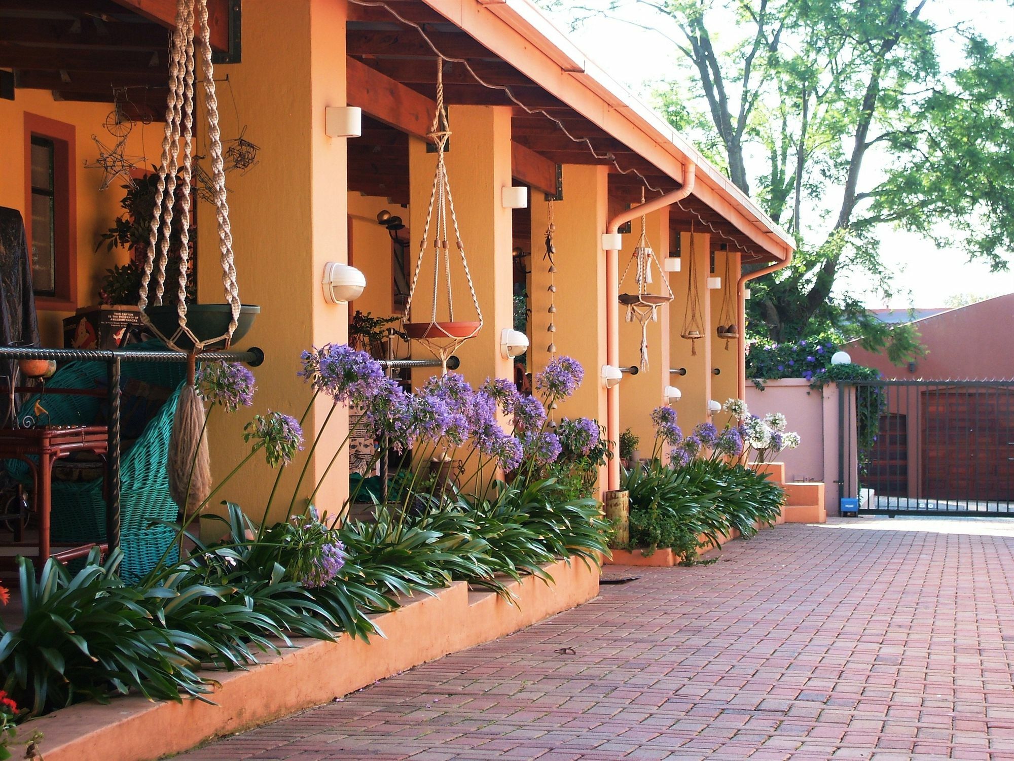 Cherry Tree Cottage B&B Linden Johannesburg Esterno foto